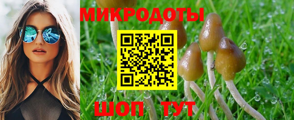 Псилоцибиновые грибы Psilocybe  Галлюциногенные грибы MAGIC MUSHROOMS  Валуйки  Вход с VPN 